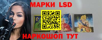 Альфа ПВП Донецк